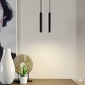 2in1 Cylindrical LED Hanging DropLight