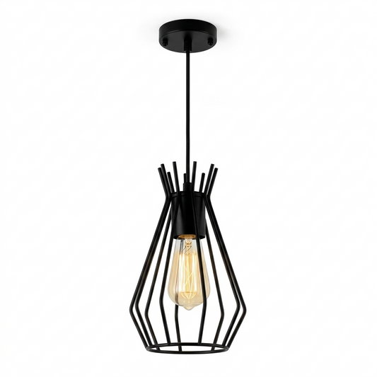 Iron wire cage pendant Lamp