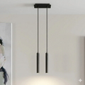 2in1 Cylindrical LED Hanging DropLight
