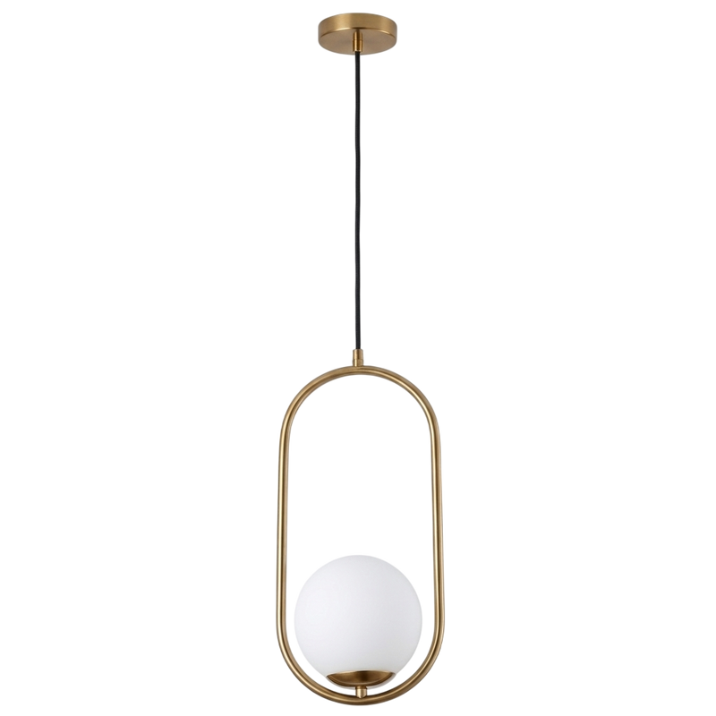 Oval-Shaped Hanging Light with Globe