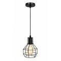 Nest wire cage Hanging Lamp
