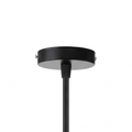 Single Pendant Light